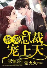 霸道总裁复仇记，霸道总裁宠上天，复仇后的人生逆转--第1张