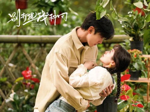 顾少宠妻上瘾，甜妻别闹--第1张