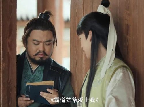 赘婿林少大结局144_赘婿林少大结局144集剧情--第1张