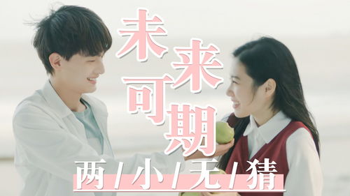 偷不走的爱与光热播短剧，分集剧情介绍--第1张