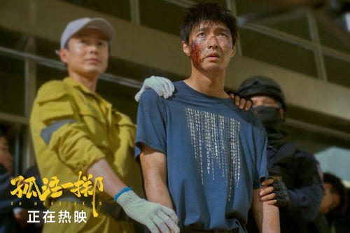 孤注一掷之无路可逃，孤注一掷电影短剧热播剧情引人入胜--第1张