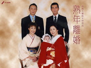 离婚后夫人成了首富225章节 离婚后夫人是首富千金，热播短剧剧情--第1张