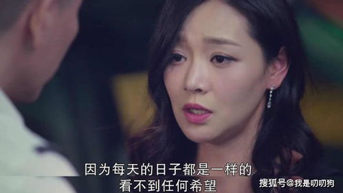 热播短剧渣女前妻跪求复合，我，一曲封神--第1张