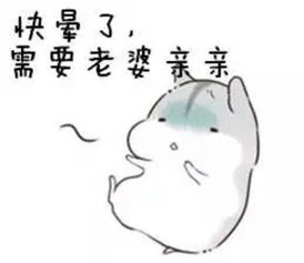 老婆原谅我吧表情包--第1张