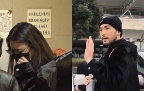 离婚选我我超甜，总裁求婚，你哭什么？--第1张