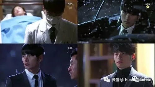 顶流保镖是条龙，明星保镖的贴身守护--第1张