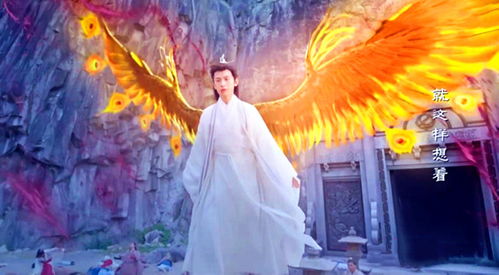 摄政王妃她又美又飒热播短剧全集剧情 《摄政王妃》--第1张