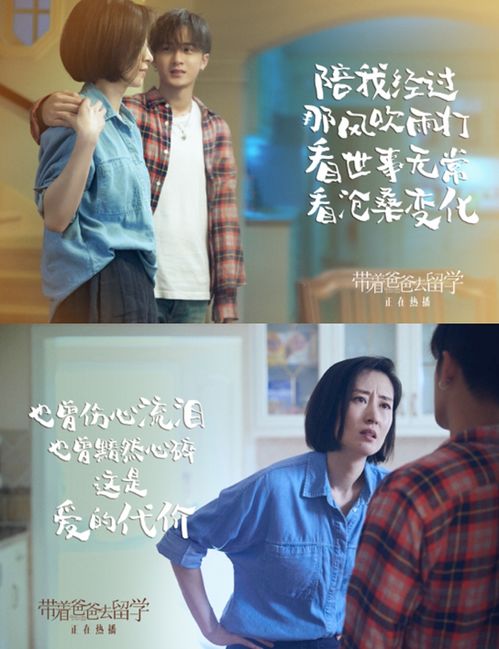狂婿胜天半子热播短剧全集剧情 狂婿阅读免费阅读小说--第1张