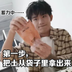 只钟意你表情包动图，爱情短剧的甜蜜剧情--第1张
