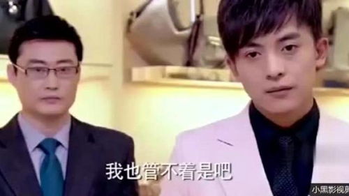 离婚之后总裁后悔了 离婚后高冷女总裁悔不当初，热播短剧全集剧情--第1张