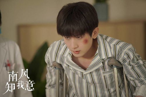 南风拂我意，甜蜜爱情短剧全集--第1张