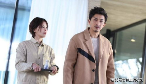 逍遥纨绔夜色短剧全集，一场繁华与落寞的交织--第1张