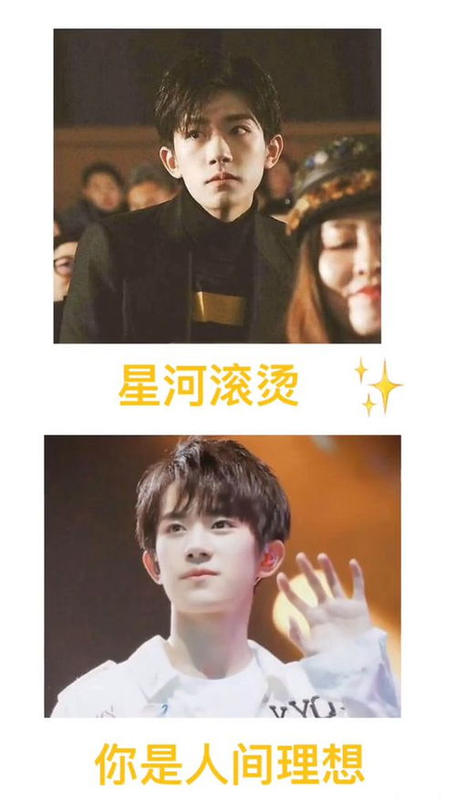 万千星辰不及你，被虐离婚后，陆总求复合--第1张