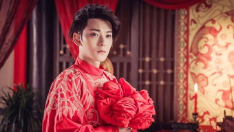 新版绝世神医全集剧情介绍--第1张