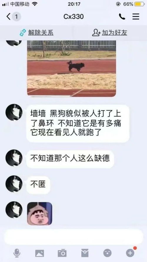 全能奶爸不好惹热播短剧全集剧情 全能奶爸也还行--第1张