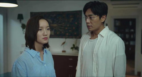  入赘五年离婚无敌热播短剧全集剧情--第1张