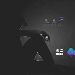 如果思念有声音是什么歌 如果思念有声音--第1张