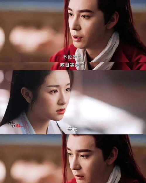只羡鸳鸯不羡仙番外，婚后宠妻甜蜜蜜--第1张