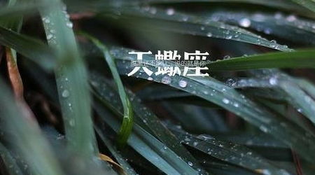 情深似景，全集剧情解析--第1张