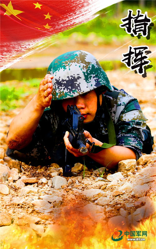不坠青云志全集剧情解析--第1张