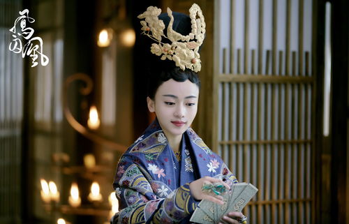 忠臣赵慧楠，忠心耿耿的臣子--第1张