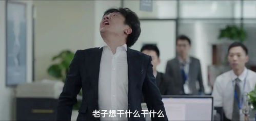 今日宜欢热播短剧全集剧情 今日宜欢热播短剧全集剧情--第1张