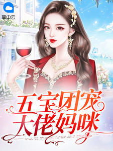 天降五宝傅总请查收全集剧情--第1张