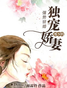强势锁婚，陆律师的锲约娇妻--第1张