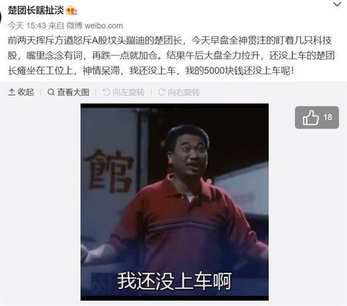 惊天大逆转，钱已到账，短剧全集抢先看--第1张