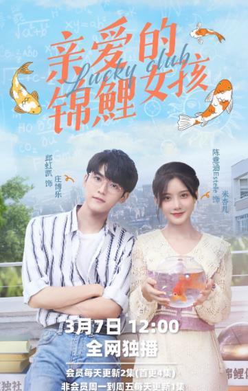 璀璨星河，全集剧情介绍--第1张
