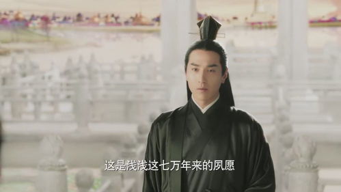 闲散皇子 闲散太子纵横四海热播短剧全集剧情--第1张