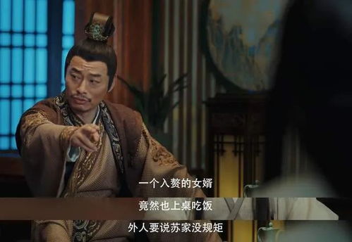 回到古代当赘婿--第1张