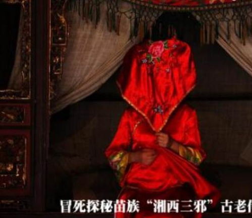 落花峒女的传奇故事全集剧情--第1张