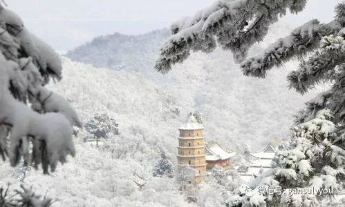 春雪落无声热播短剧全集剧情 小说春雪--第1张