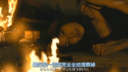 养敌为患热播短剧全集剧情解析 养敌为患热播短剧全集剧情--第1张