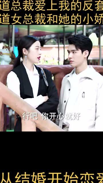霸道女总裁的爱情故事--第1张