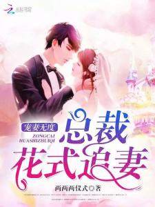 傅先生，宠妻无限剧情解析--第1张