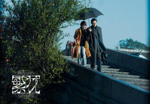 我在黄河开直播 我在黄河路当首富热播短剧全集剧情--第1张