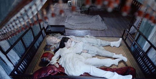 医武神婿热播短剧全集剧情 医武神婿热播短剧全集剧情介绍--第1张