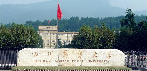 南境炎王，热播短剧全集剧情解析--第1张