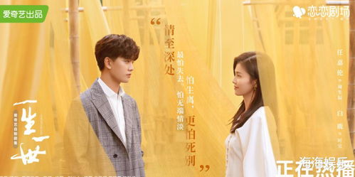 缘来是你热播短剧全集剧情 缘来是你电视剧主演--第1张