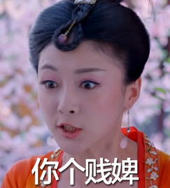 老婆再给我一次机会--第1张
