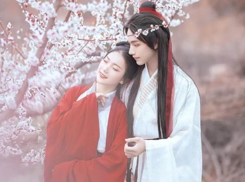 穿成反派的炮灰前妻(穿书)短剧全集剧情--第1张