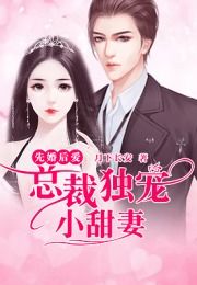 先婚后爱之闪婚冷妻--第1张
