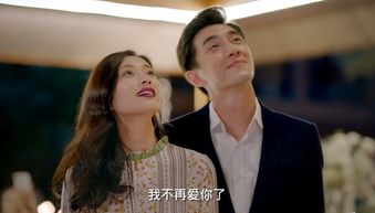 纪先生小说，离婚再续--第1张