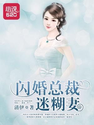 闪婚之总裁夫人离婚后风华绝代--第1张