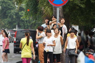 海小姐跑不掉啦全集在线观看，海小姐海鲜汇剧情简介--第1张