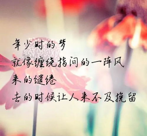 余生漫漫顾怀瑾不辞春色免费阅读--第1张