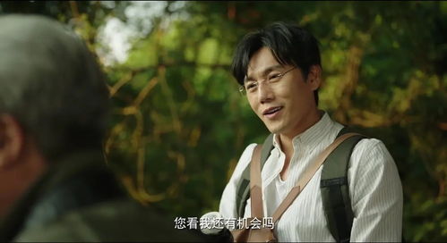 傻子龙婿的第二部剧情在线，全集观看--第1张