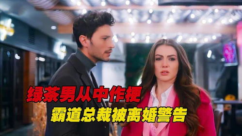 婚情难守首席离婚吧热播短剧全集剧情在线观看 婚情难解免费阅读--第1张